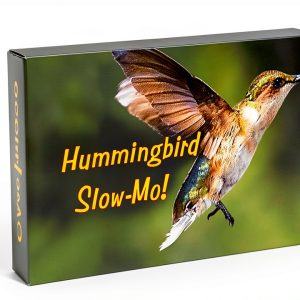 Fliptomania Hummingbird Flipbook Slow Motion Animation Toy-0