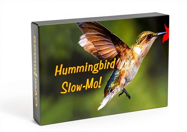 Fliptomania Hummingbird Flipbook Slow Motion Animation Toy-0