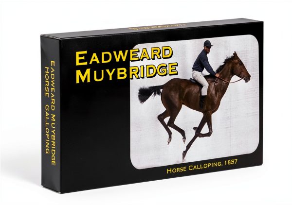 Fliptomania Hummingbird Flipbook Slow Motion Animation Toy-4