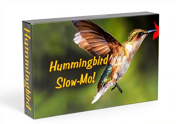 Fliptomania Hummingbird Flipbook Slow Motion Animation Toy-5